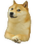 :doge: