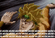 muda :muda:
